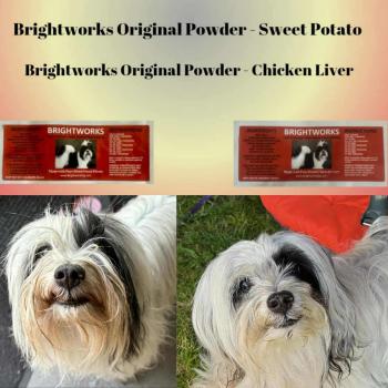 Brightworks Original Powder – Tränenflecken-Komplex (mit Süßkartoffel)